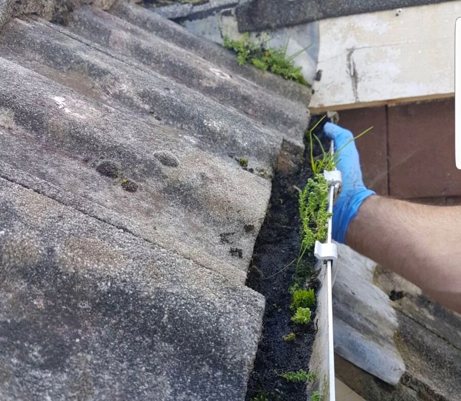 Gutter Cleaning and Maintenance Hayling Island